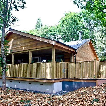 Cedar Lodge, South View Lodges, Exeter Dış mekan fotoğraf