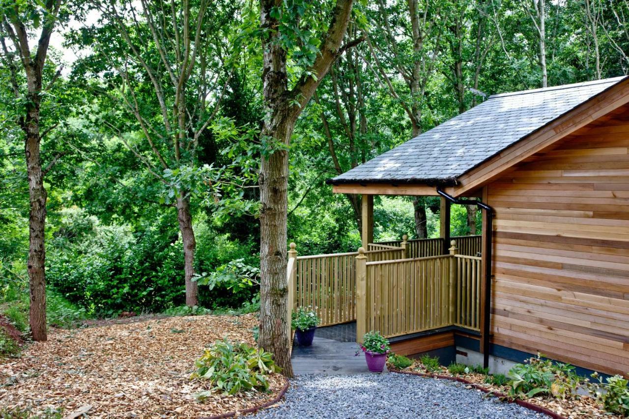 Cedar Lodge, South View Lodges, Exeter Dış mekan fotoğraf