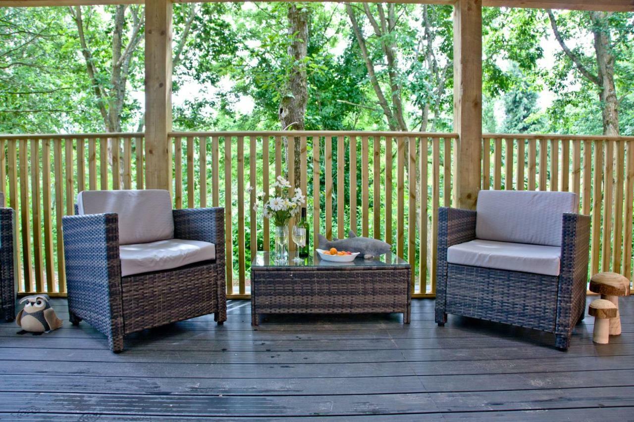 Cedar Lodge, South View Lodges, Exeter Dış mekan fotoğraf